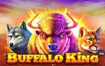 Buffalo King